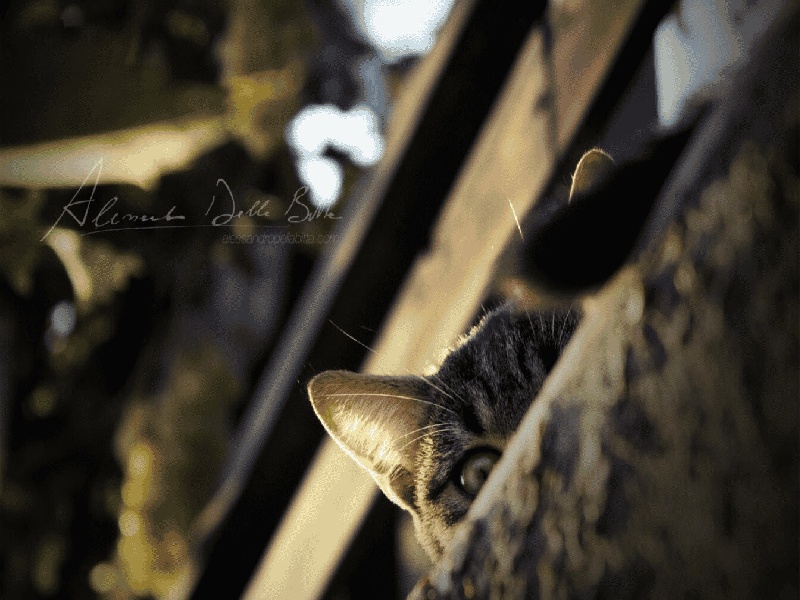 郑州试管被骗事件,罕见病做试管