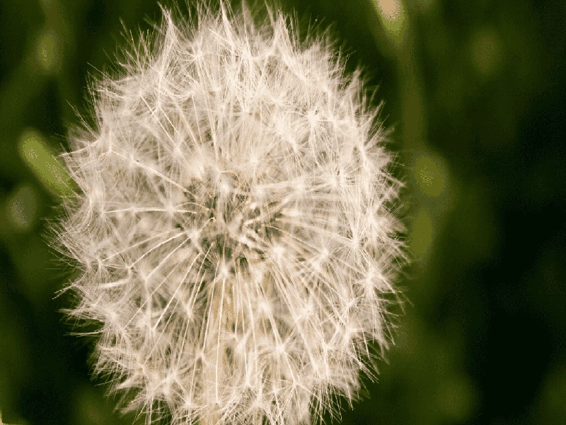 异形试管架,迷你试管哪家好些